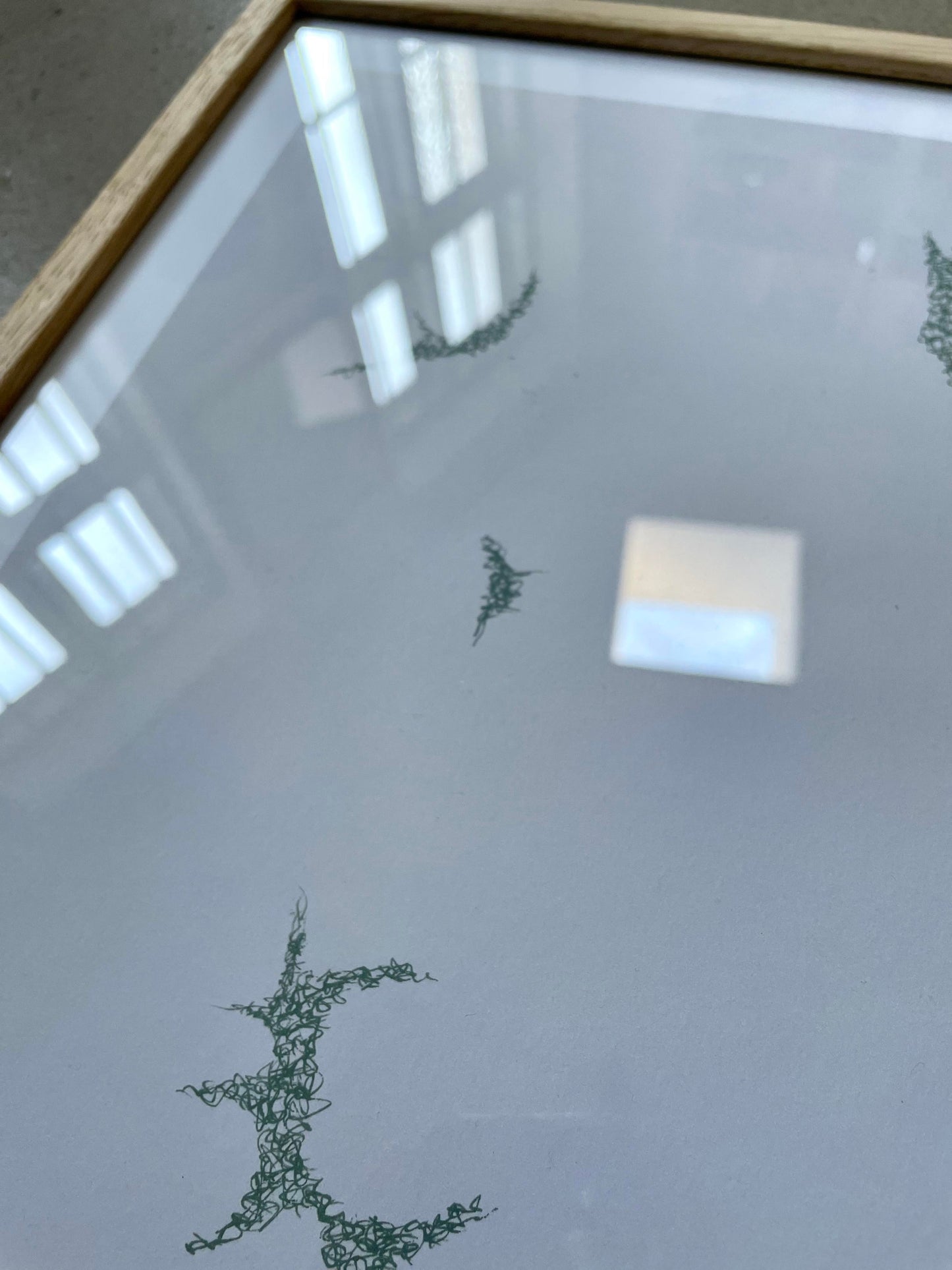 '01'21' Salvia / 50% OFF