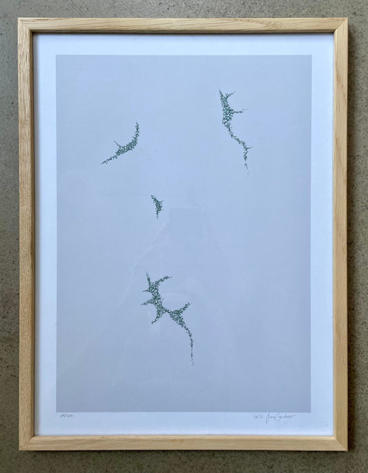 '01'21' Salvia / 50% OFF