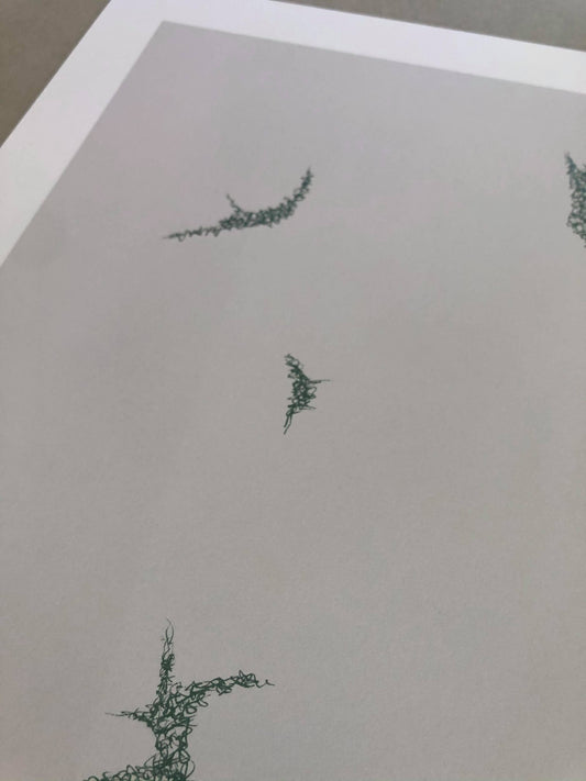 '01'21' Salvia / 50% OFF