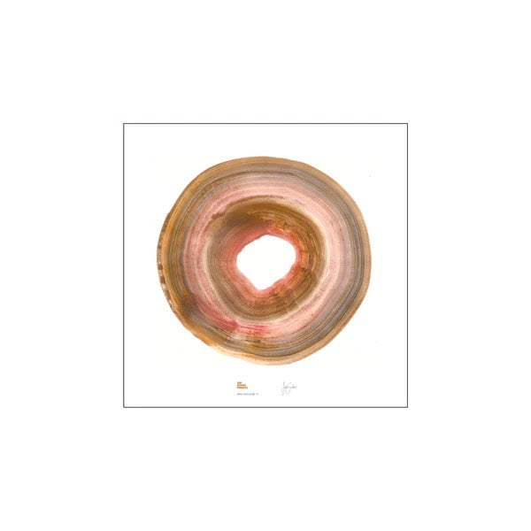 Amber Circle of Life