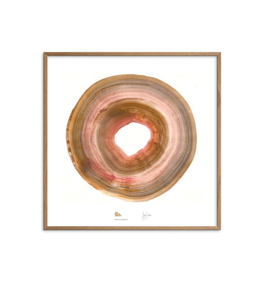 Amber Circle of Life