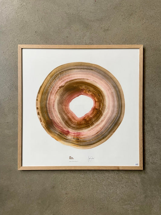 Amber Circle of Life