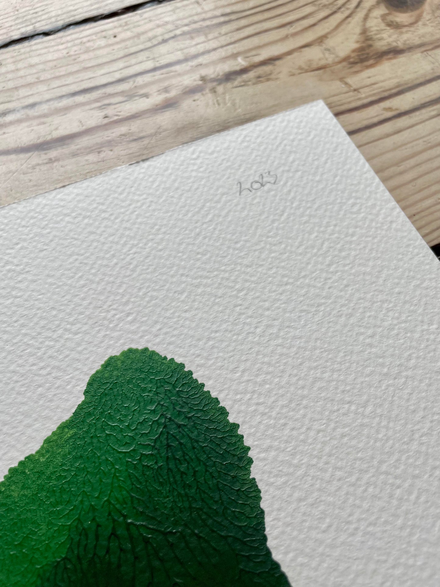 A4 / Leaf 1