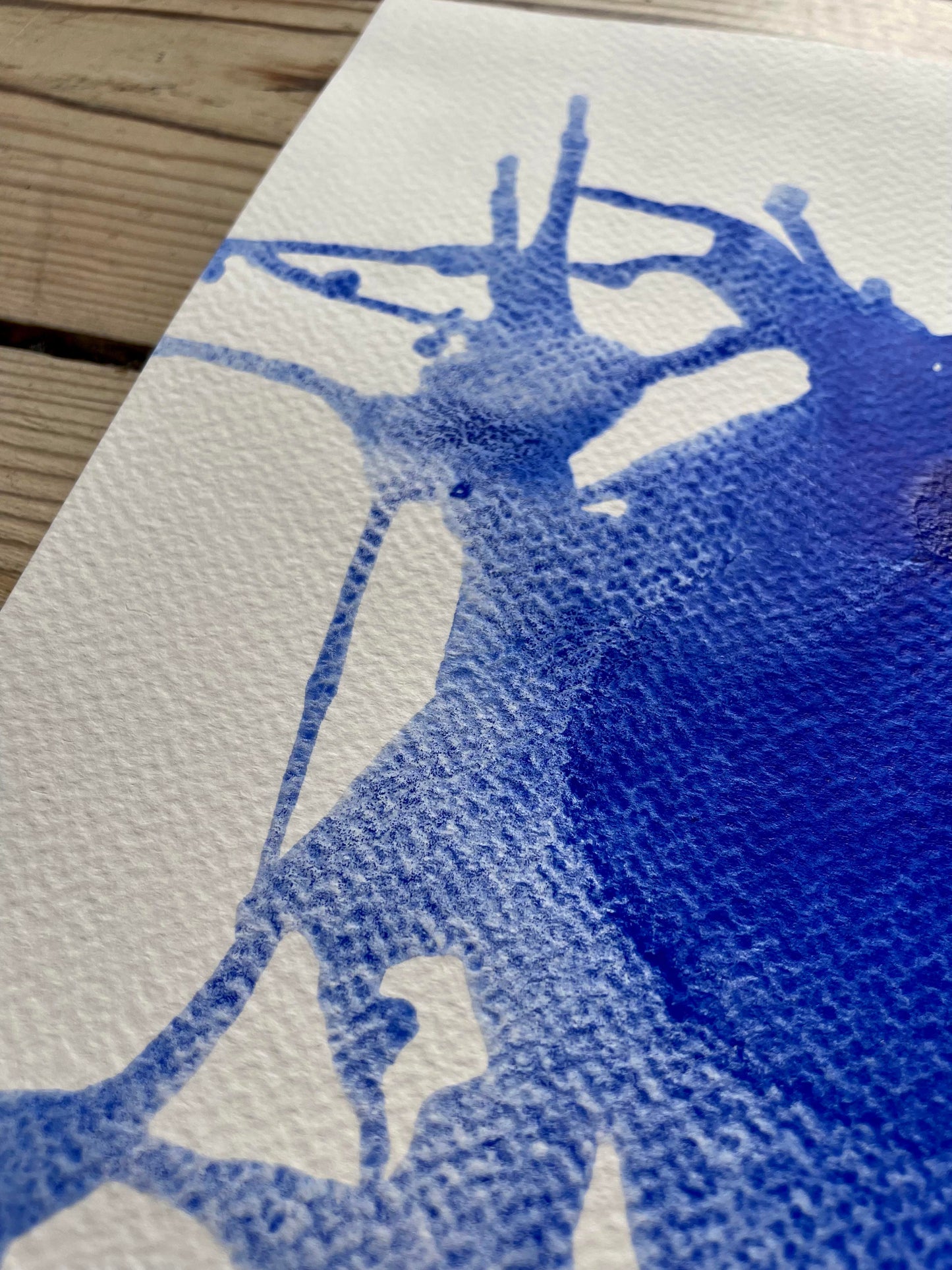 A4 / Spider splash