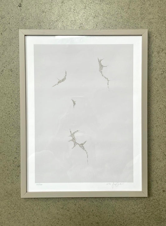 '01'21' Clay / 50% OFF