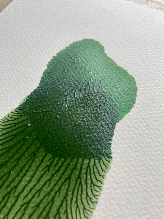 A4 / Leaf 2