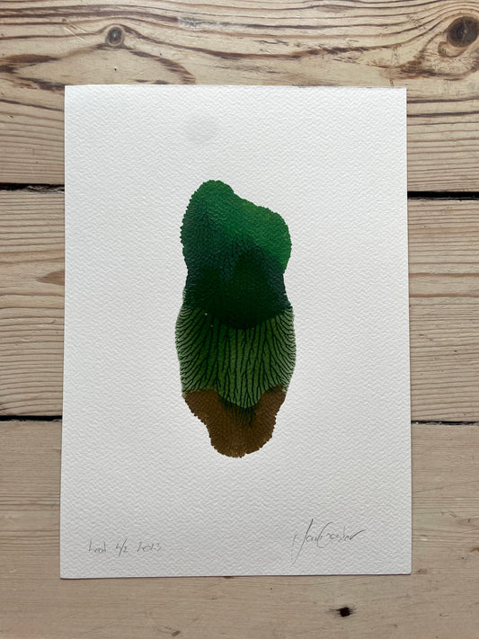 A4 / Leaf 2