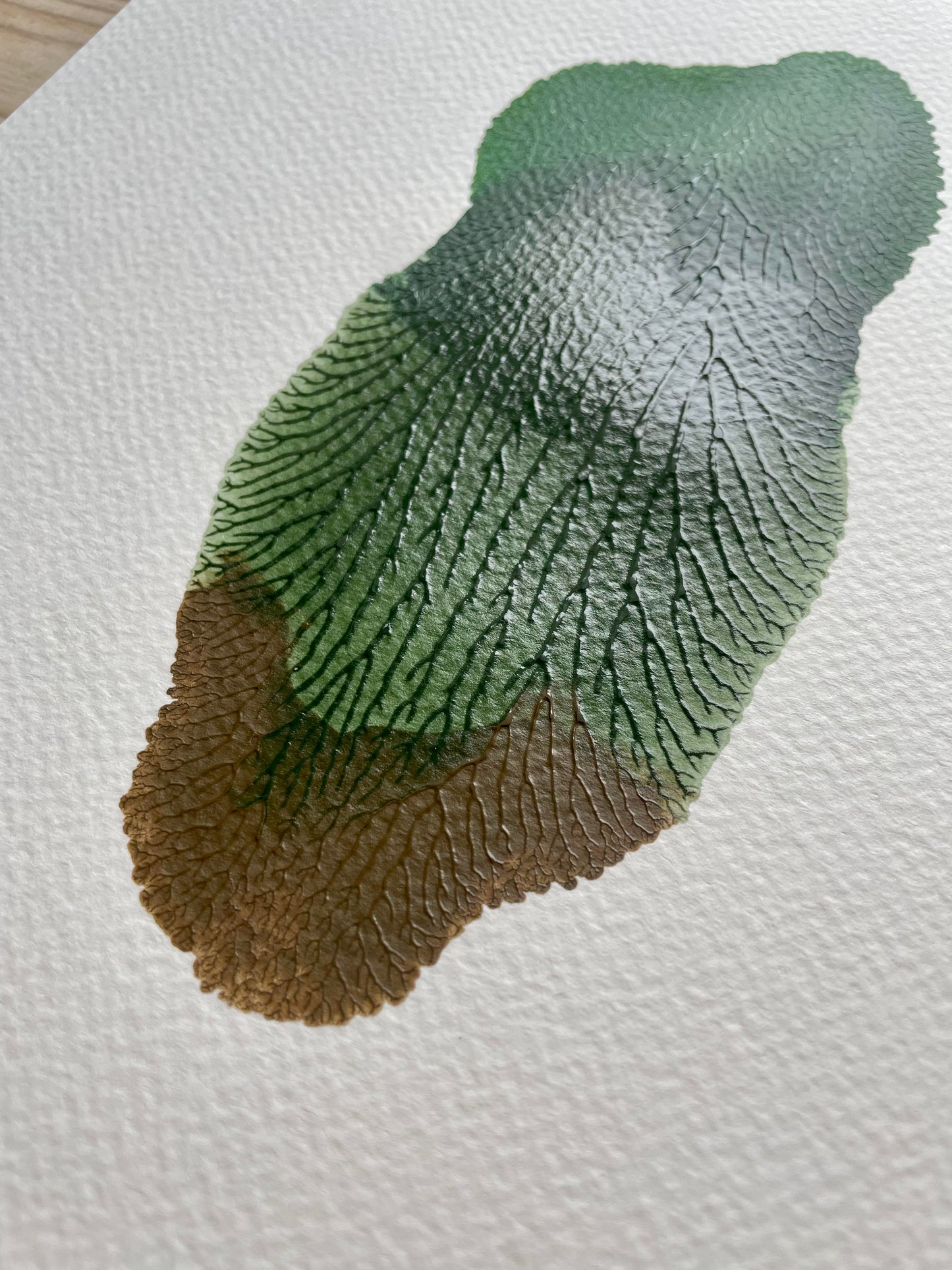 A4 / Leaf 1