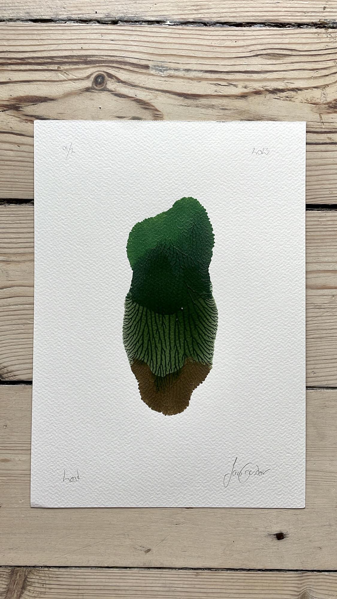 A4 / Leaf 1